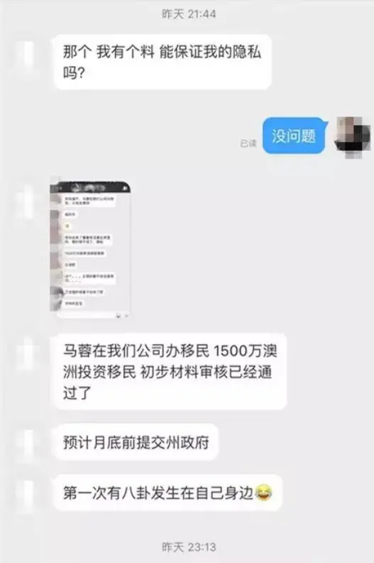 马蓉移民生活曝光：离婚财富与颜值蜕变